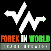 Digital Nomad Books Review (2026) – Expert Trading Insights